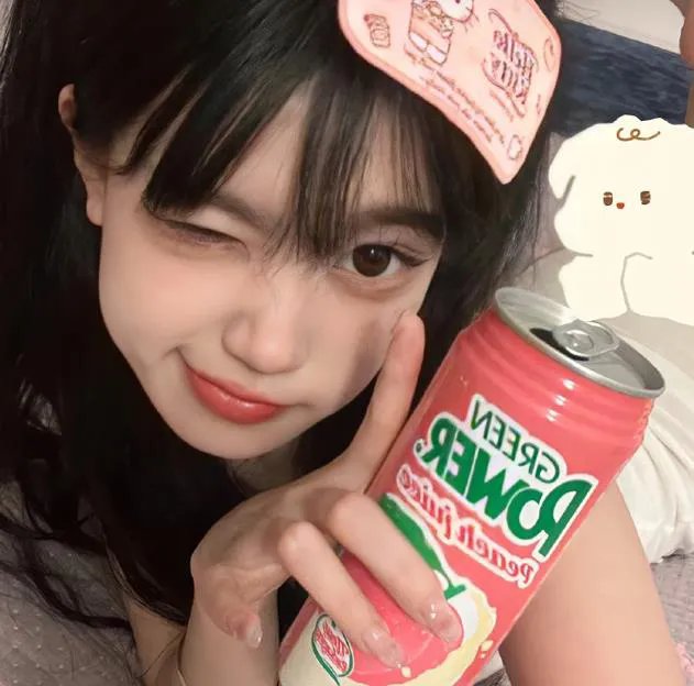 双子星大冒险国语